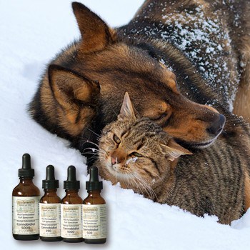 Love Your Pets…the CBD Way